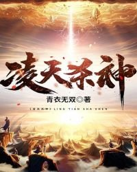 《凌天杀神》