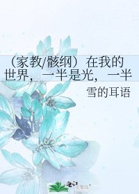 （家教/骸纲）在我的世界，一半是光，一半是影