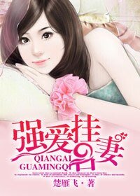 強愛掛名妻/閃婚強愛，嬌妻送上門